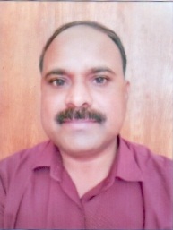 D.V.Raj Kumar.jpg